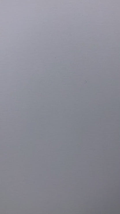 Skater Mitch Sticker